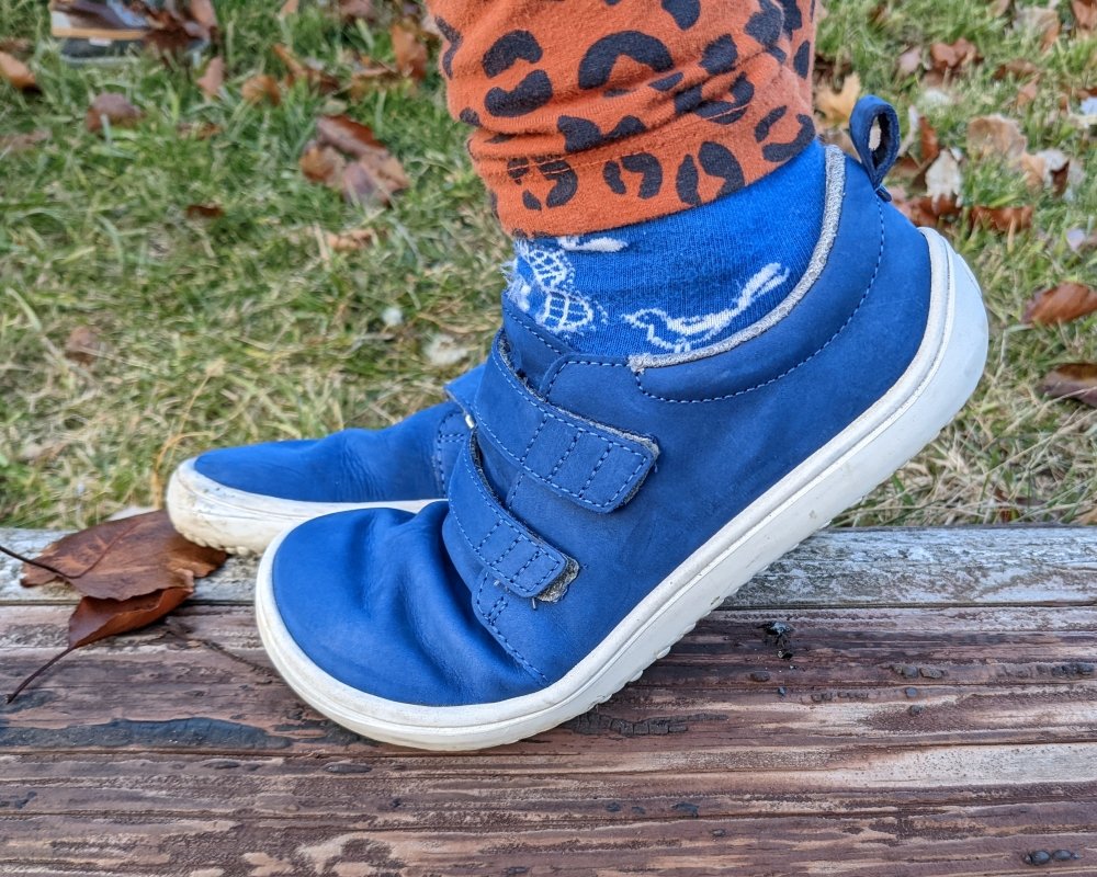 Side flexed profile of Be Lenka Jolly barefoot sneakers in navy blue nubuck leather
