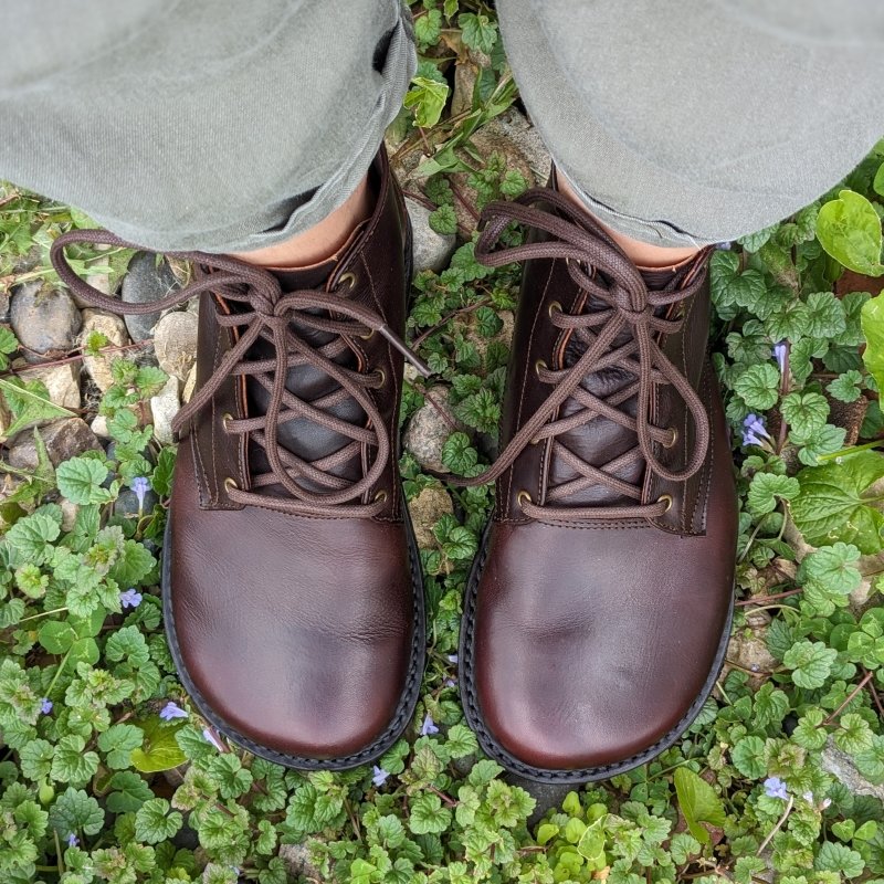 Top down view of Gaucho Ninja barefoot goodyear welted leather zero drop lace up boots on a bed of green clover