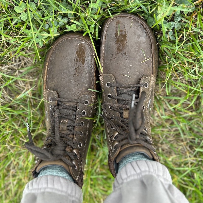 A top down view of a pair of feet standing in wet grass wearing Lems new waterproof boulder boot grip, a non slip barefoot boot for hiking and outdoor use